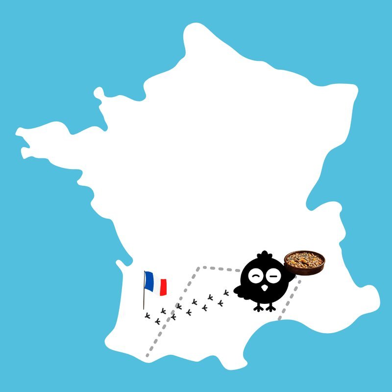 France - divaspin